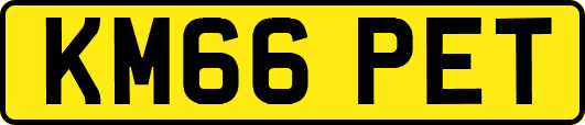 KM66PET