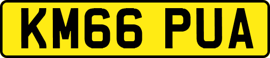 KM66PUA