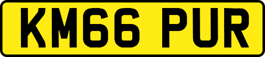 KM66PUR