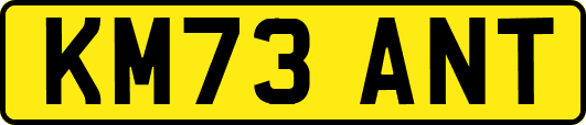KM73ANT