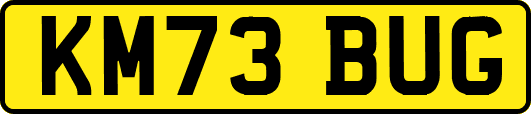 KM73BUG