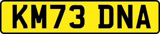 KM73DNA