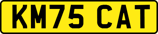 KM75CAT