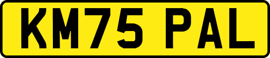 KM75PAL