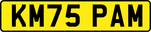 KM75PAM