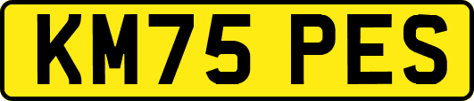KM75PES