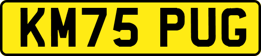 KM75PUG