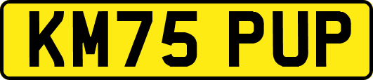 KM75PUP