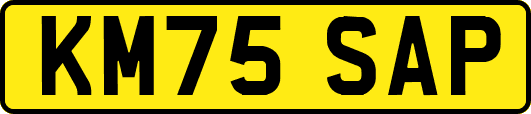 KM75SAP