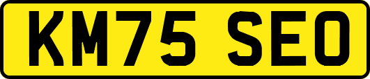KM75SEO