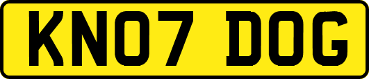 KN07DOG
