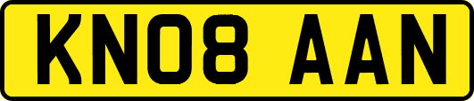 KN08AAN