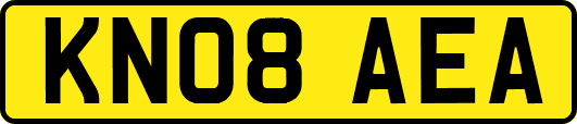 KN08AEA