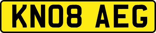 KN08AEG