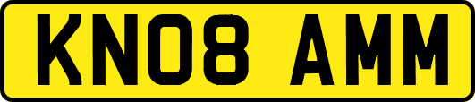 KN08AMM
