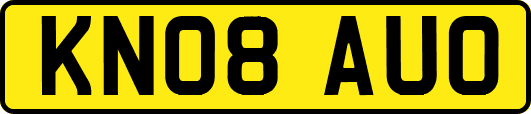 KN08AUO