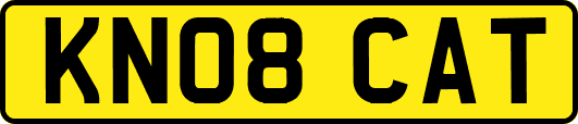 KN08CAT
