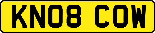 KN08COW