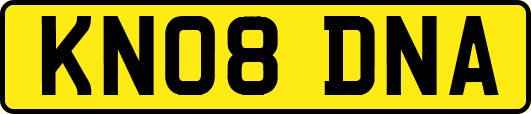 KN08DNA