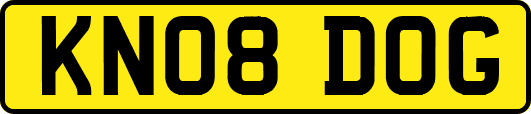 KN08DOG