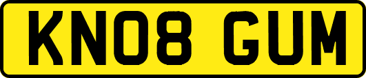 KN08GUM