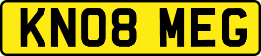 KN08MEG