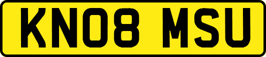 KN08MSU