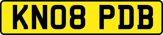 KN08PDB