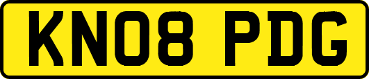 KN08PDG