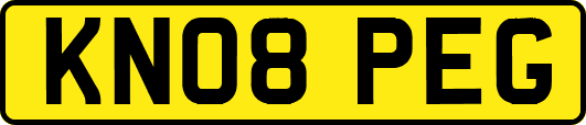 KN08PEG