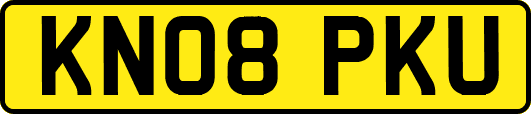 KN08PKU