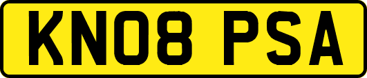 KN08PSA