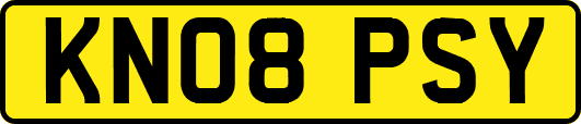 KN08PSY