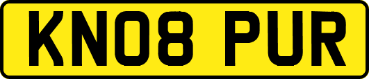 KN08PUR