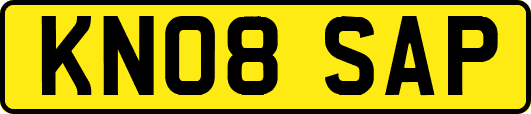 KN08SAP