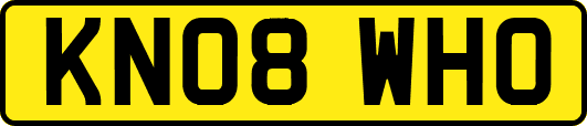 KN08WHO