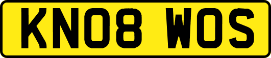 KN08WOS