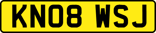 KN08WSJ