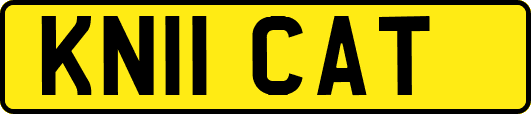 KN11CAT