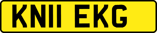 KN11EKG