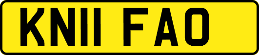 KN11FAO