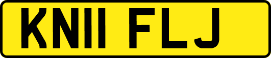 KN11FLJ