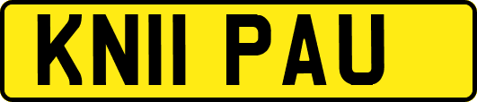 KN11PAU