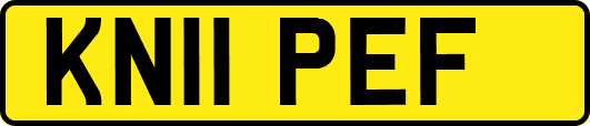 KN11PEF