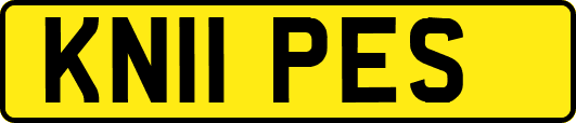 KN11PES