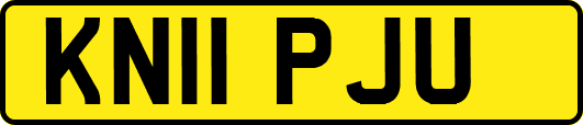 KN11PJU