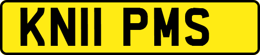 KN11PMS