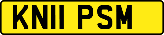 KN11PSM