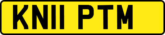 KN11PTM