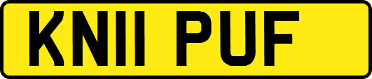 KN11PUF